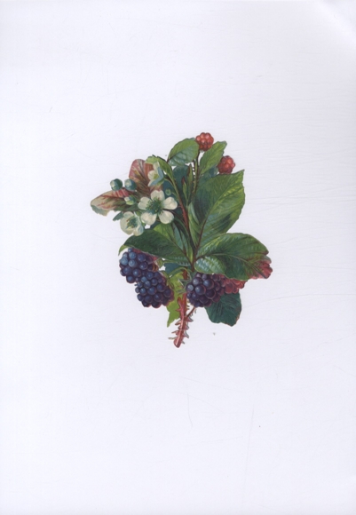 Oblate Brombeeren mit Blatt und Blüten, ca. 12,5 x 11 cm