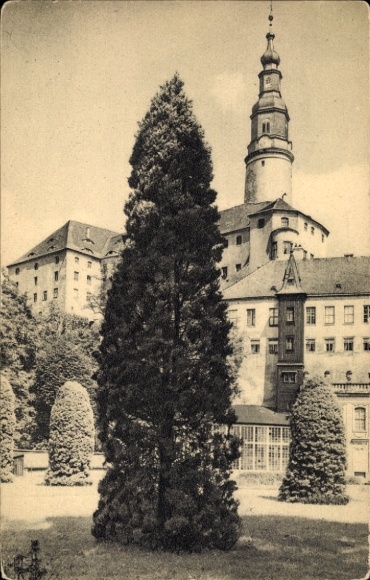Postcard Weesenstein in Müglitztal, castle, park picture