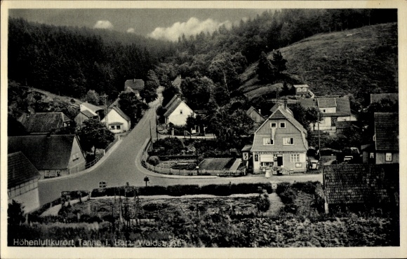 Postcard Tanne im Harz, Waldstrasse, delicatessen and grocery store
