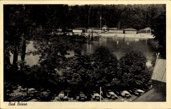Ak Bad Briese Birkenwerder im Kreis Oberhavel, Terrasse, See