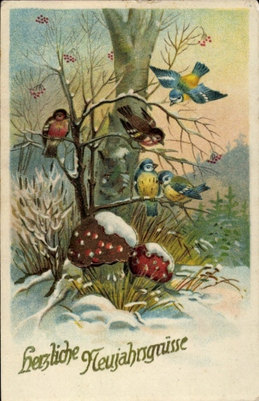 Ak Glückwunsch Neujahr, Pilze, Vögel, Schnee, Meisen