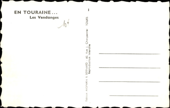 CPA Vendanges en Touraine, viticulture