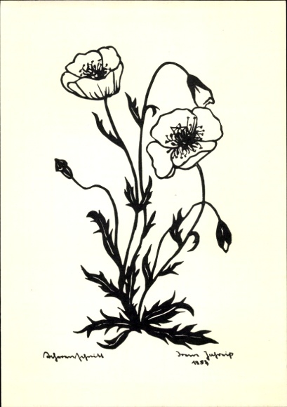Paper cutting artist Postcard blooming flowers, poppy