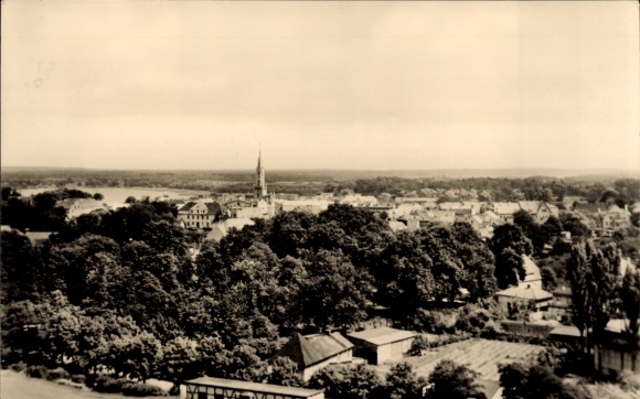 Postcard Fürstenberg an der Havel, city view with trees, church, landscape, black and white