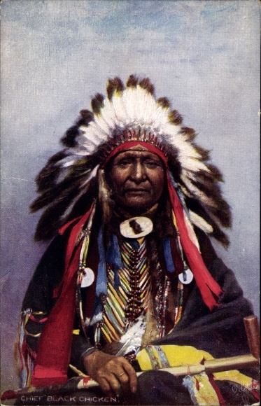 Ak Nordamerikanische Volkstypen, Mann mit Federschmuck, Portrait, Häuptling, Tuck 3495