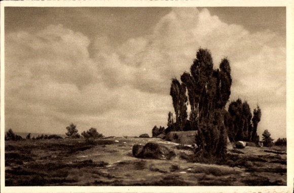 Postcard Wilsede, Lüneburg Heath, WHW The beautiful Germany Image 5