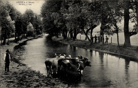 Postcard Lahde Petershagen on the Weser, landscape with cows by the water, trees, people on the shore