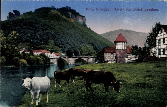 Ak Nideggen in der Eifel, Burg, Brück, Kühe