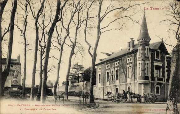 Postcard Castres Tarn, Avenue d'Albi, Boulevard Patte d'Oir, Fontaine de Corbiere