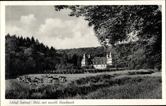Postcard Crottorf Friesenhagen Rheinland Pfalz, Schloss Crottorf, Hirschpark