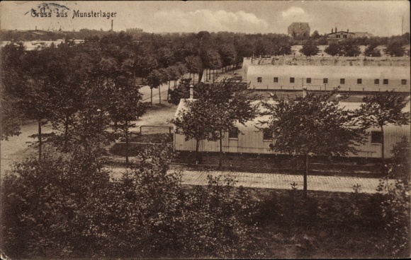 Ak Munster im Heidekreis, Truppenübungsplatz Munsterlager