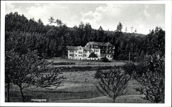 Ansichtkaart Hohegrete pracht in het Westerwald, herstellingsoord, bos
