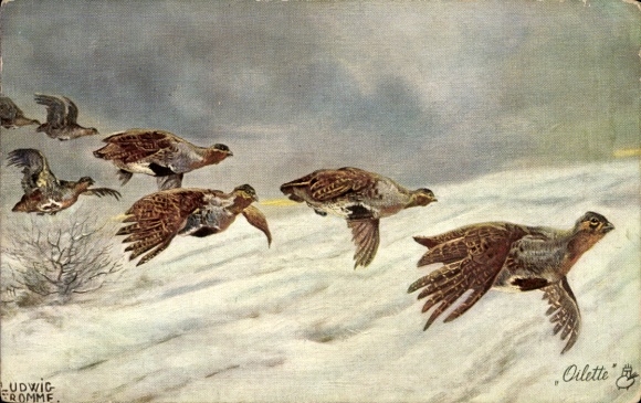 Artist Postcard Fromme, Ludwig, Partridges in Flight, Winter