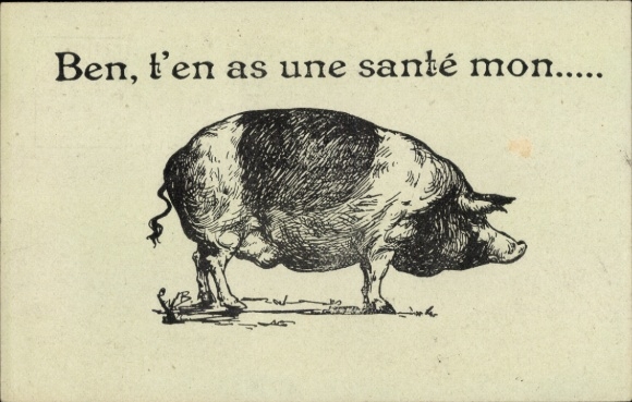 Postcard pig with black spots