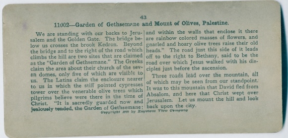 Stereo photo Jerusalem Israel, Garden of Gethsemane and Mount of Olives, Palestine