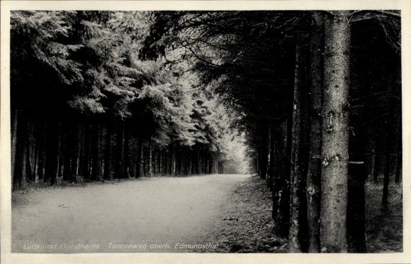 Postcard Geesthacht on the Elbe, Tannenweg above Edmundsthal