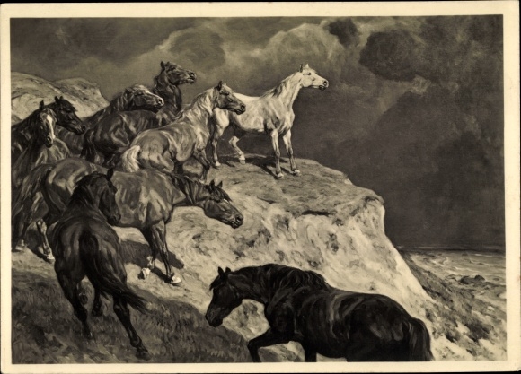 Artist PC Roloff, Alfred, HDK 527, in the freedom, wild horses, steep coast